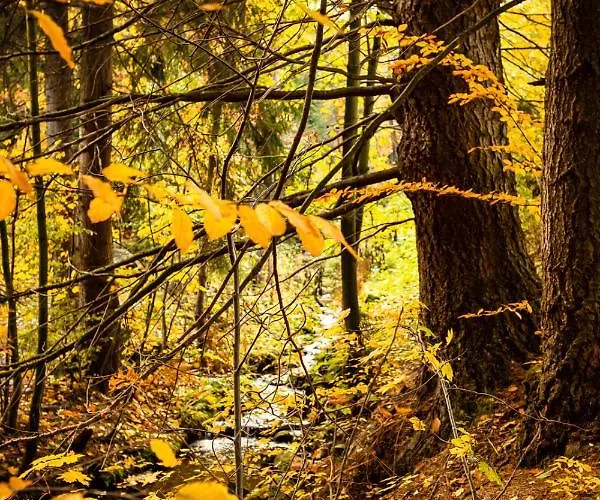 Stara Szlifiernia - Dom Na Wylacznosc Дом отдыха Шклярска-Поремба