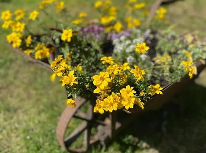 Дом отдыха Stara Szlifiernia - Dom Na Wylacznosc Шклярска-Поремба