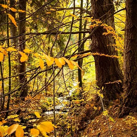 Stara Szlifiernia - Dom Na Wylacznosc Casa vacanze Szklarska Poręba