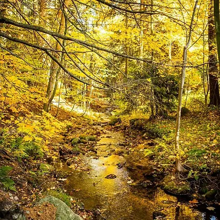Vakantiehuis Stara Szlifiernia - Dom Na Wylacznosc Szklarska Poręba