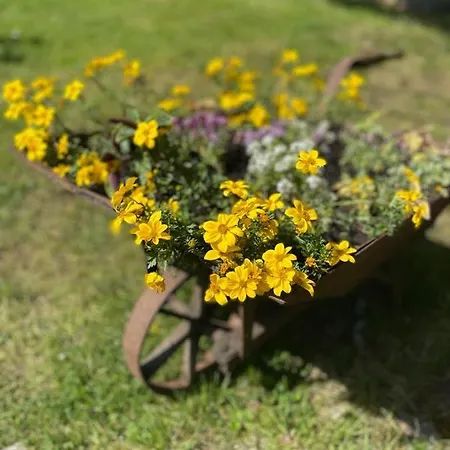 Vakantiehuis Stara Szlifiernia - Dom Na Wylacznosc Szklarska Poręba