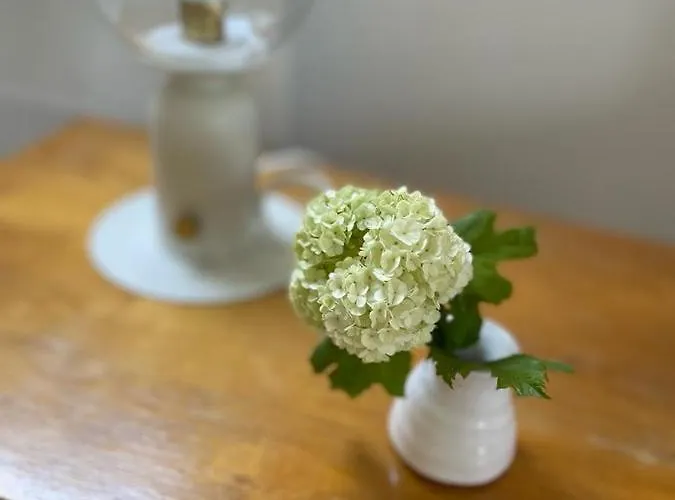 Stara Szlifiernia - Dom Na Wylacznosc Nyaraló Szklarska Poręba